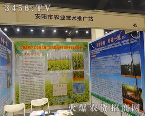 安陽市農(nóng)業(yè)技術推廣站積極參與2014中部農(nóng)資會，助力現(xiàn)代農(nóng)業(yè)技術普及